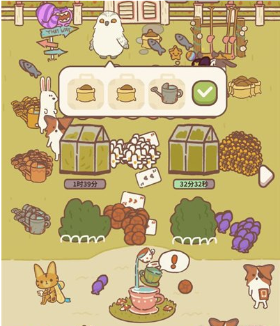 动物餐厅海德薇最新攻略，美食探索与用餐指南