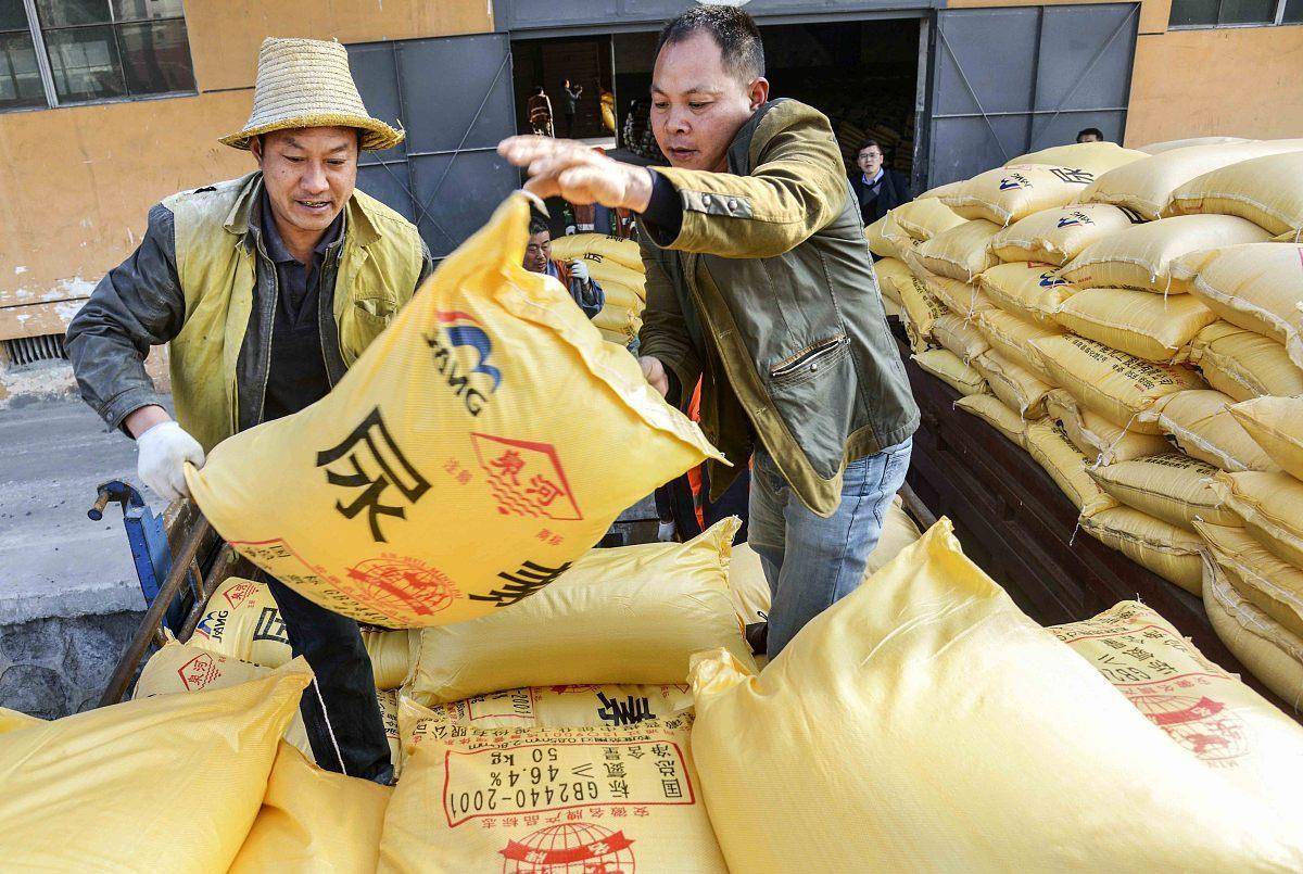 今日国际尿素价格走势分析，最新市场动态揭秘