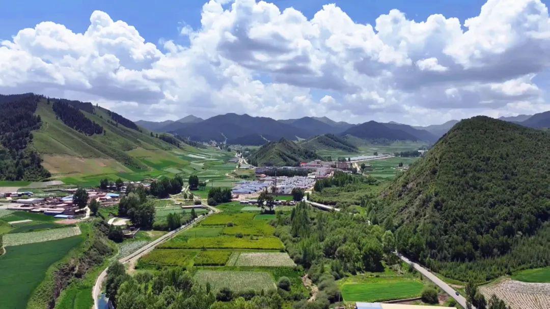 西沟乡流泉沟村最新热点新闻聚焦