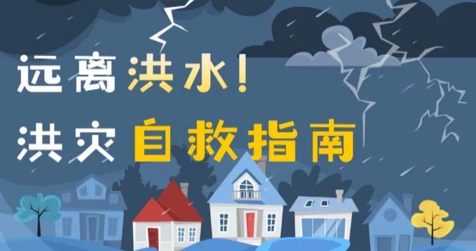 突发停电损失应对指南，实用策略助你应对停电危机