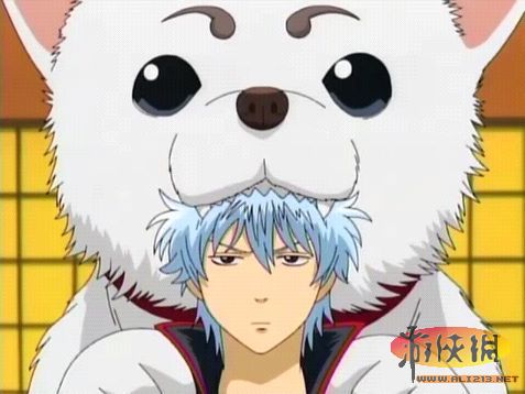 独家萌宠漫画揭秘，宠物与人类的温馨奇缘