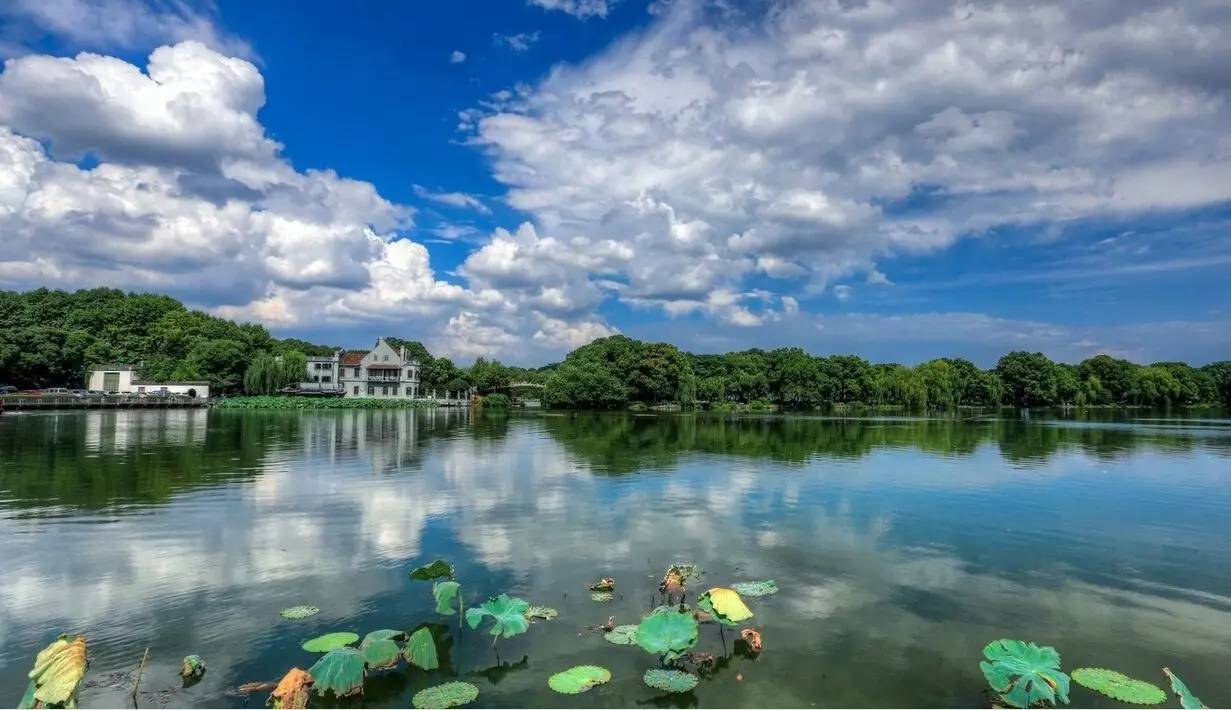 杭州旅游拍摄秘籍，探索绝美风光，留下绝美瞬间