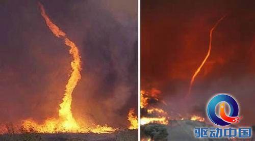 志在四方 第3页