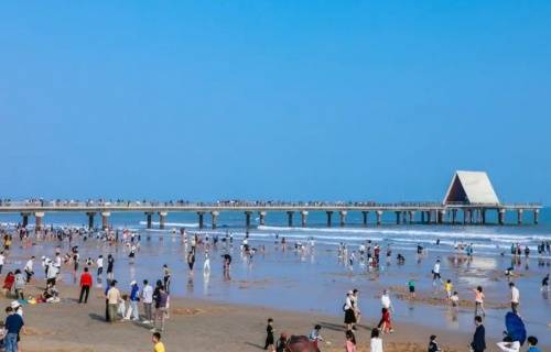 南汇赶海攻略，最新位置指南，让你轻松享受赶海乐趣！