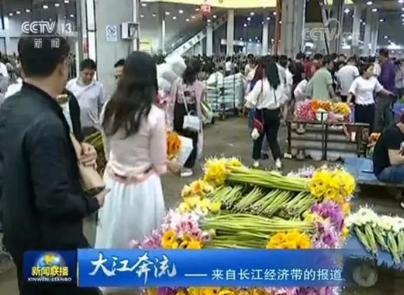 今日潮汕新闻聚焦，地方动态与发展新篇章