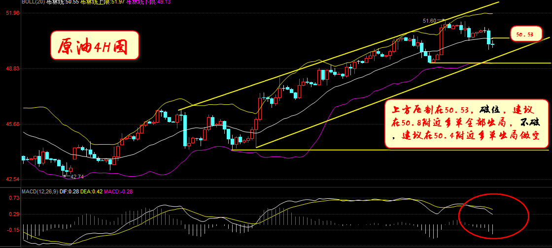 今日股市震荡剧烈，最新消息揭秘暴跌背后的市场洞察