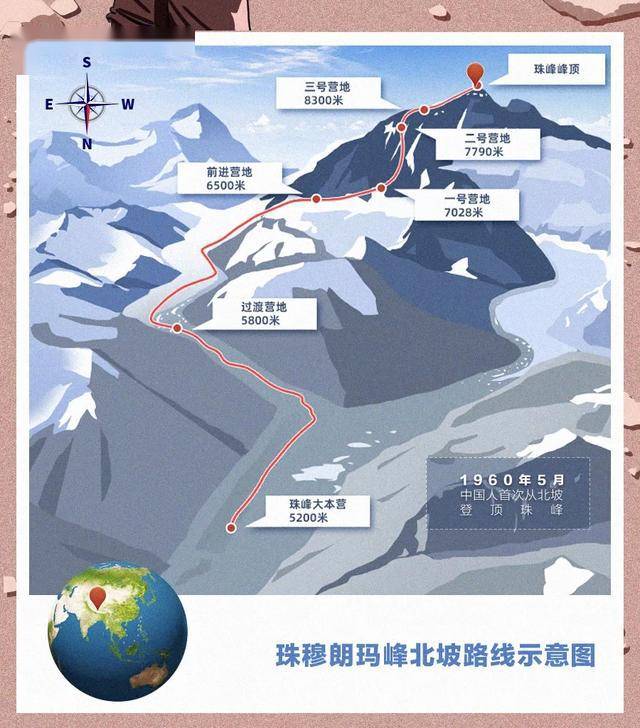 揭秘进化奥秘,征服地球之巅!