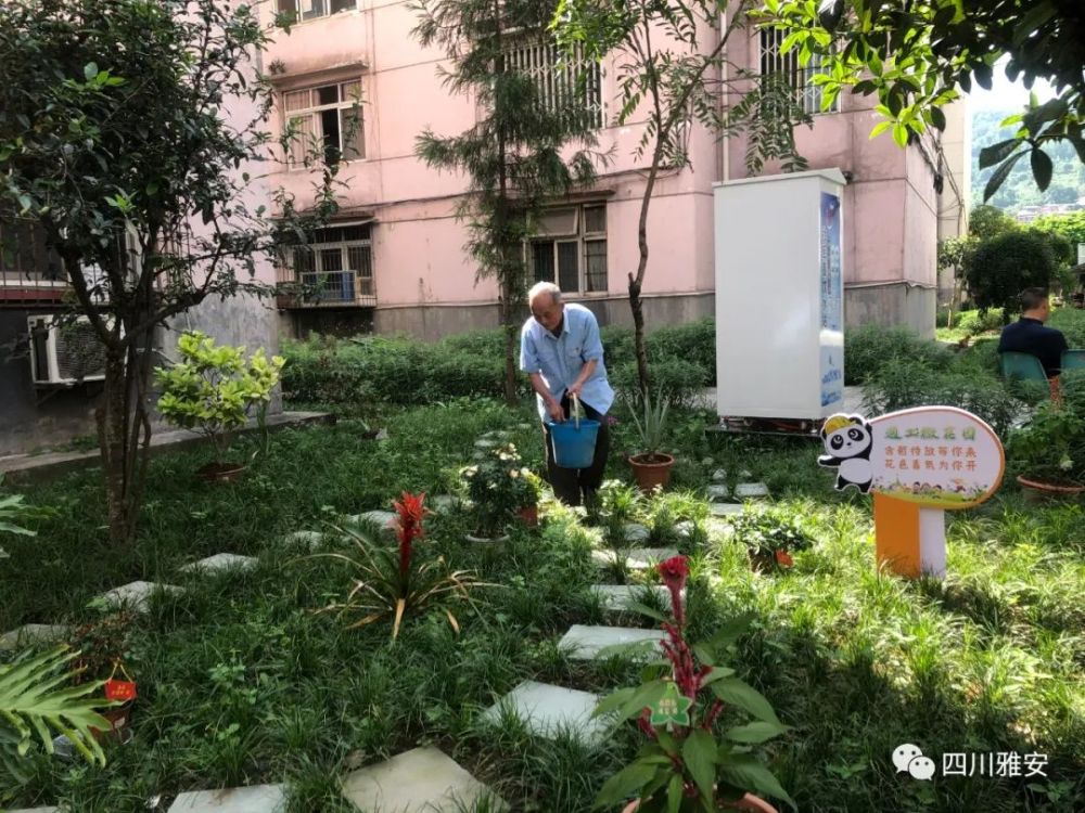 柯桥草坪新动向，绿色生态引领社区发展新篇章