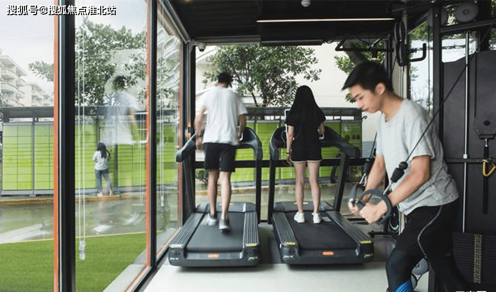 安庆冬小麦今日行情，最新价格揭秘