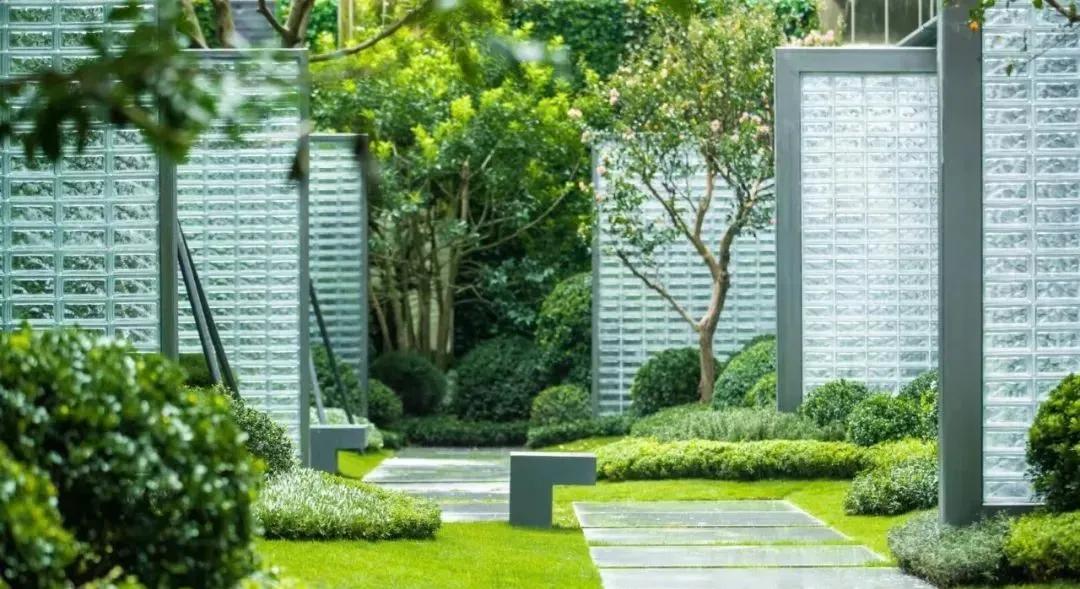 焦作黑坑鱼汛实时更新，最新动态一网打尽！