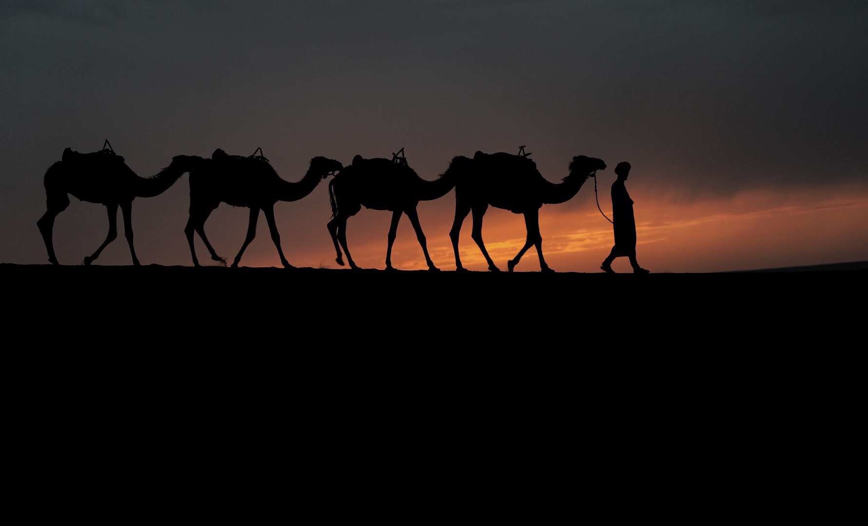 沙漠之旅，追逐梦想的勇气与决心励志语录