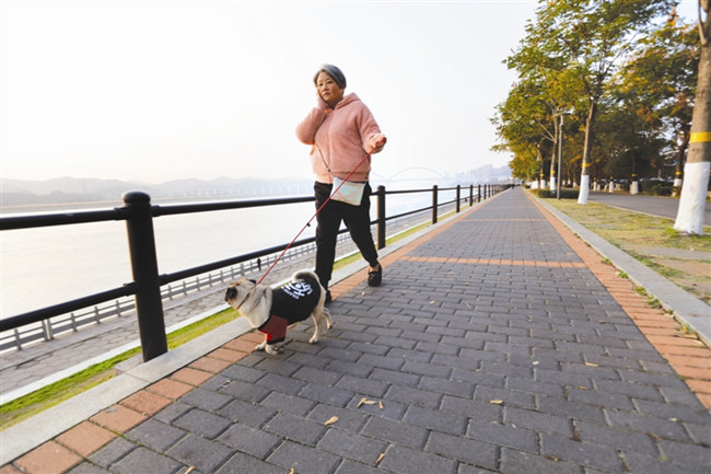 今日热点，遛狗最新资讯一网打尽