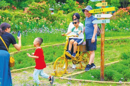 阿卡农庄，与自然共舞，田园乐趣尽享时光