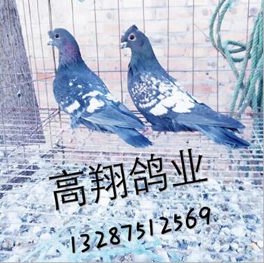 2025年4月3日 第3页