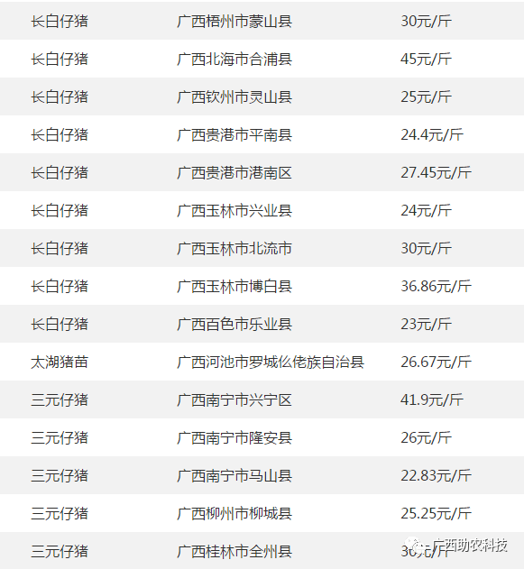 今日肉猪价格行情大解析，最新市场动态全掌握