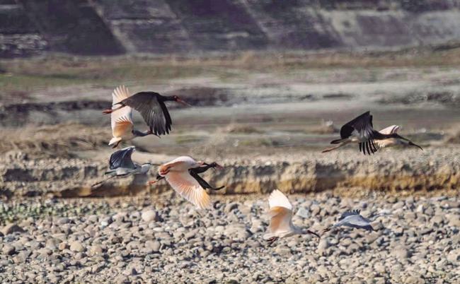 陕新闻头条今日聚焦，陕西最新动态速览