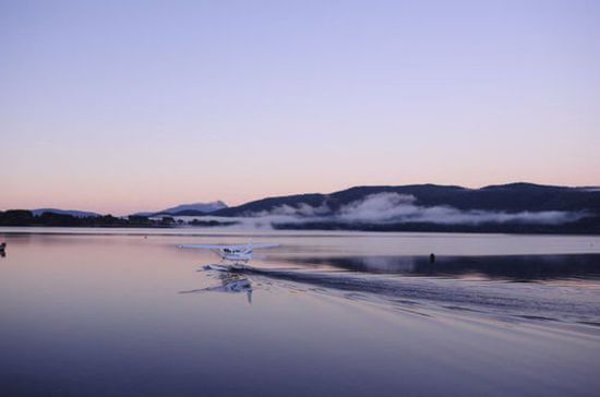 以卵就石 第3页