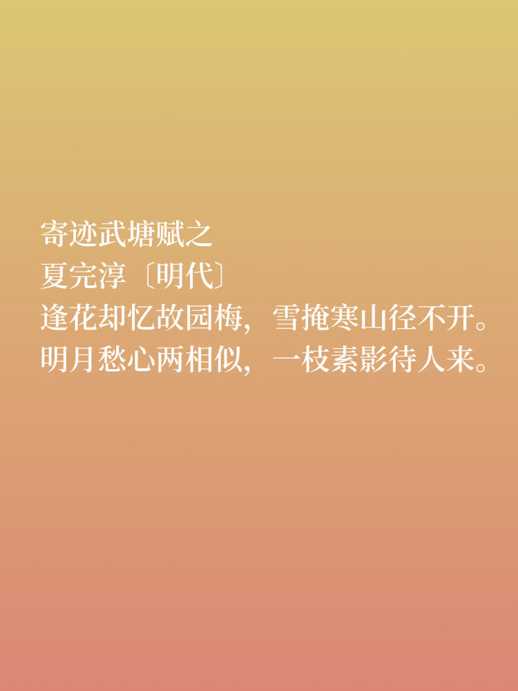 一辈子不断奶的爱国情怀深度思考