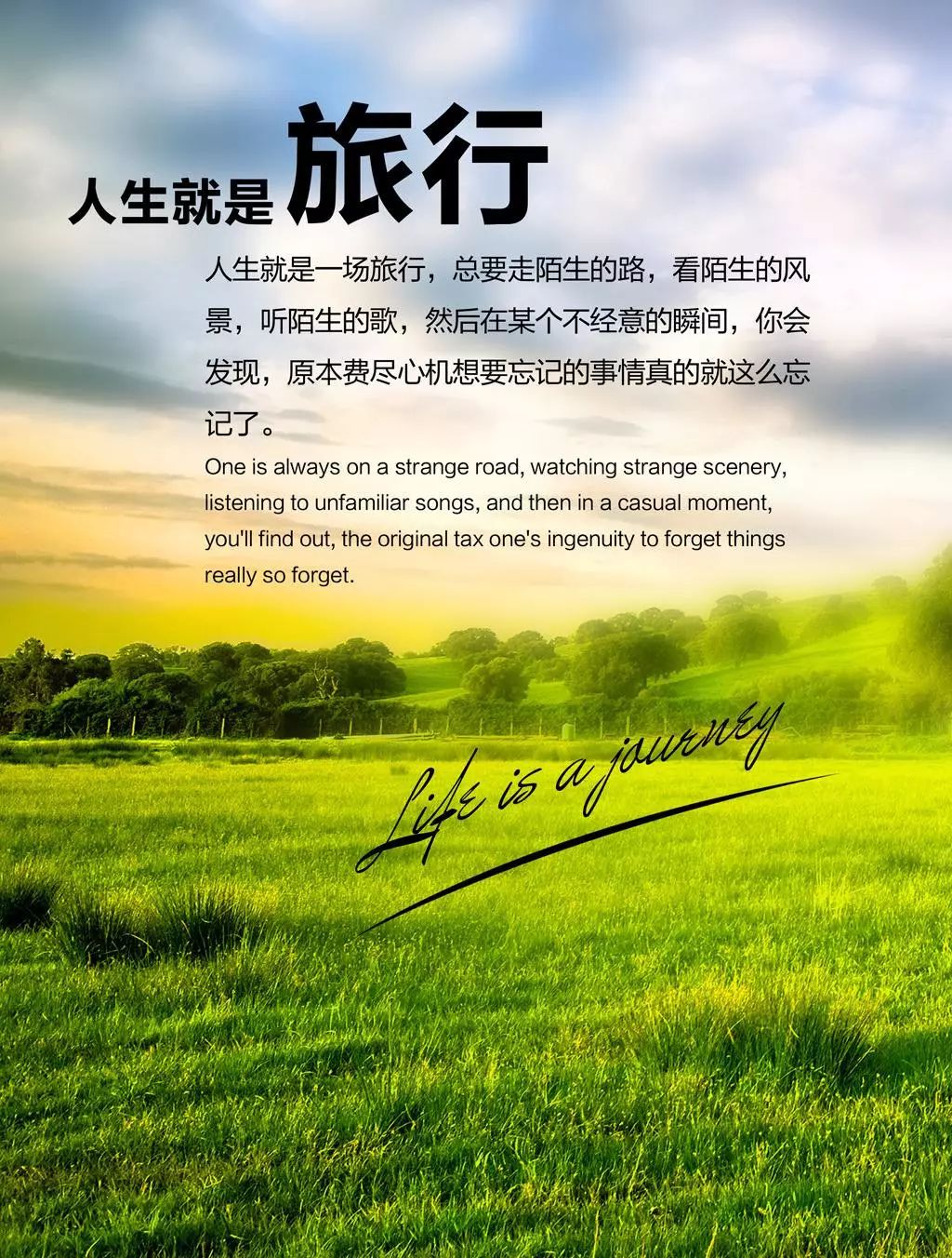 爱芒果，深情宣传之旅，触动心灵瞬间