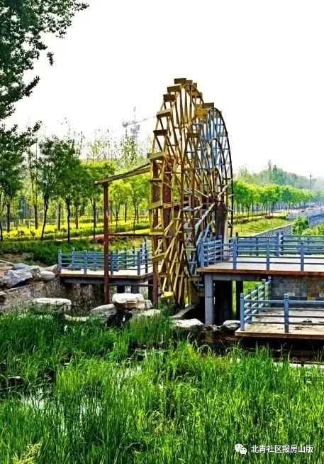 永乐公园游玩秘籍，带你玩转最佳景点！