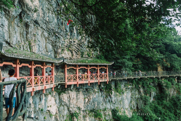 2025年4月9日 第3页