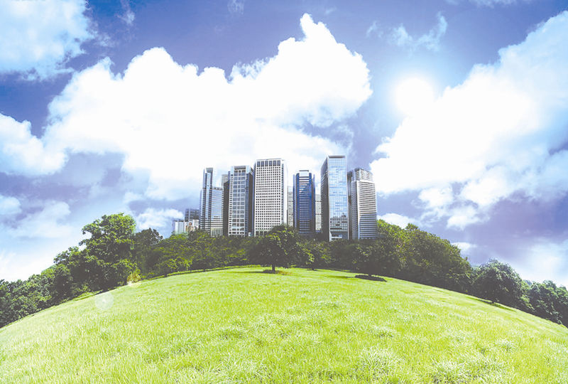 环保大荔新闻聚焦，共建绿色家园，引领可持续发展新篇章