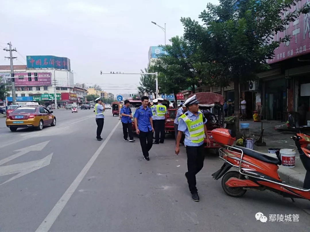 大乐城鄢陵老板最新动态揭秘，最新消息一览