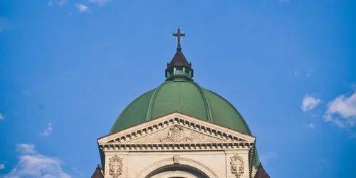 乌鸟私情 第3页