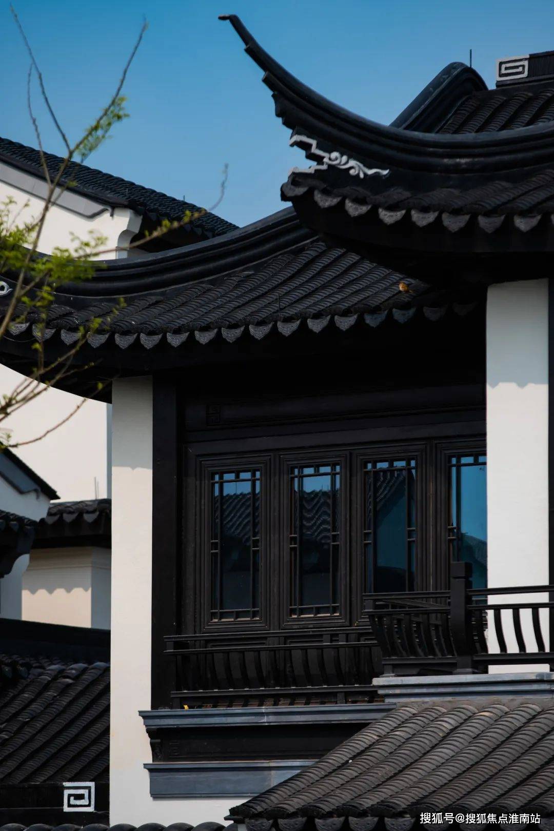 最新肉鸡报价与今日猪价走势深度解析