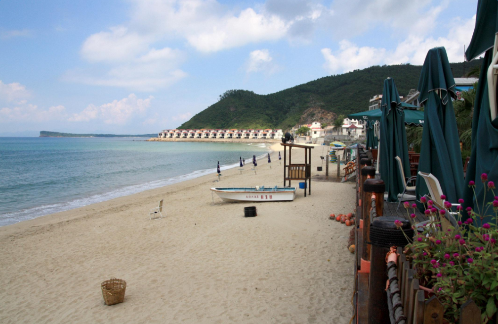 深圳鸡心岛赶海秘籍，最新攻略，一网打尽！