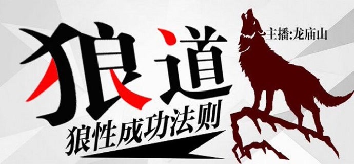 狼的专题训练，深度解析狼性生存法则与智慧提升