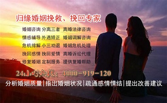 情感的真谛，持续联系揭示深情与沟通的桥梁