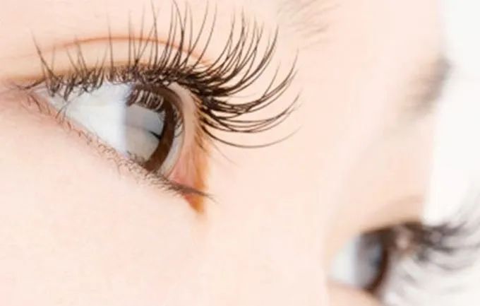 全球顶级睫毛公司排名大揭秘！