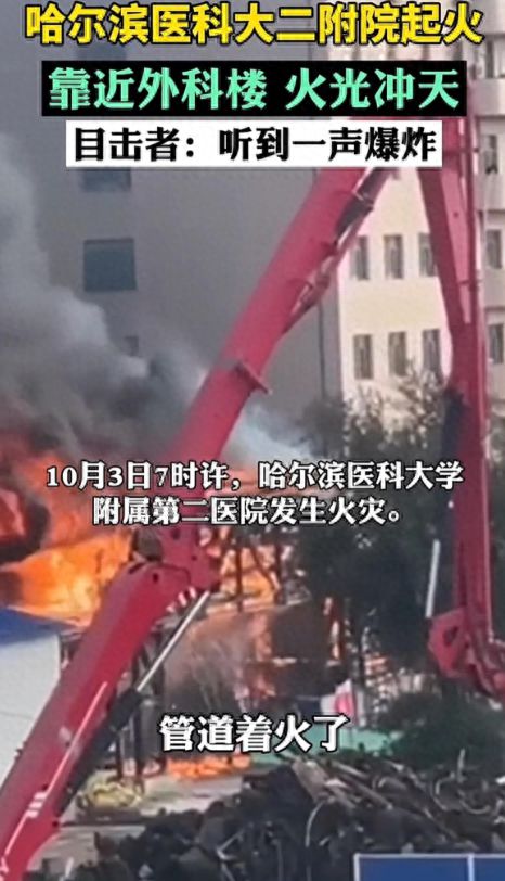 武汉青山火灾事件揭秘，背后故事与深刻反思