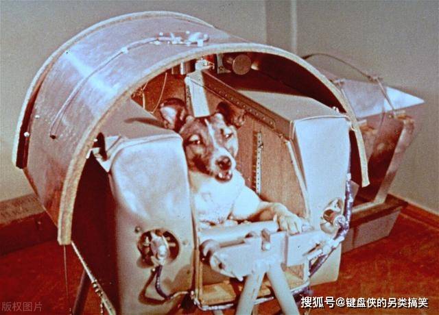宇宙探索与金融市场的最新动态，太空狗行情揭秘