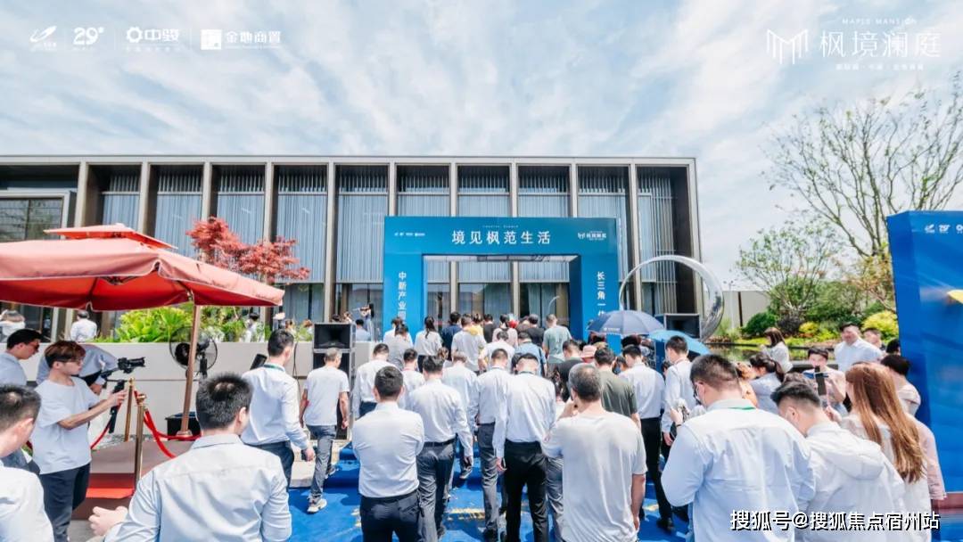 金星照片惊艳曝光，探索太空之美