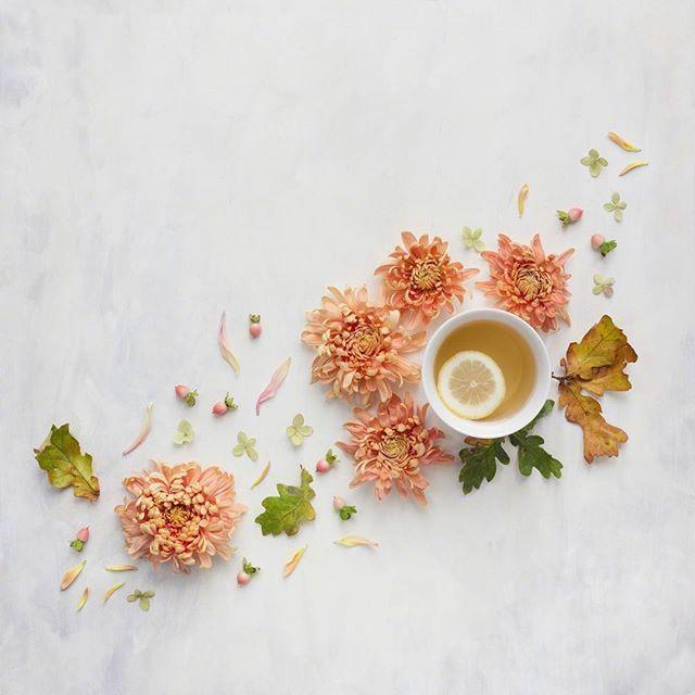 探索军旅生活的独特魅力，从军行之旅