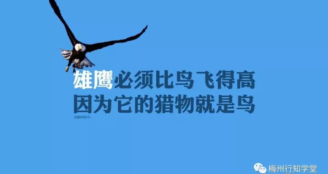 事业语录励志文案学习心得分享