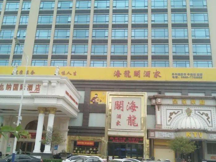 广东鳄鱼最新动态揭秘