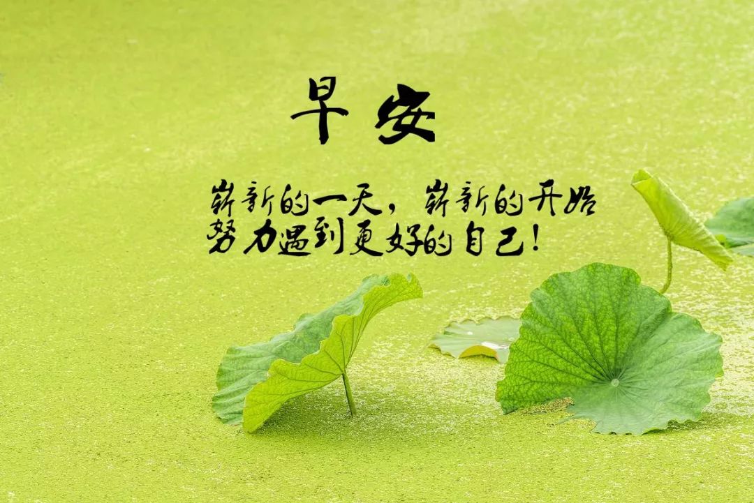 励志语录短句说说，激发无限正能量！