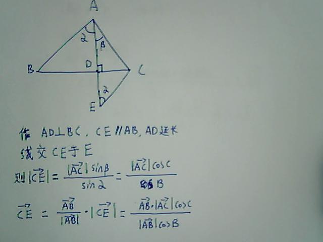 向量难题深度解析攻略