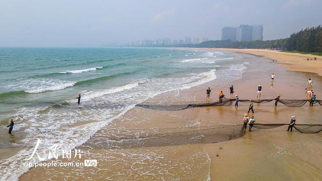 珠海港赶海全攻略，最新图片一网打尽！