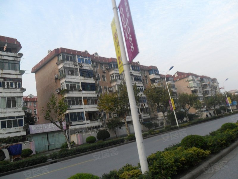 梅州新村最新动态，今日热点一网打尽！