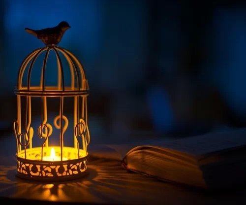 明灯励志语录，点亮人生之光，激发前行力量！