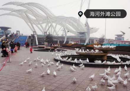 塘沽外滩最新消息，今日新闻头条聚焦此地动态