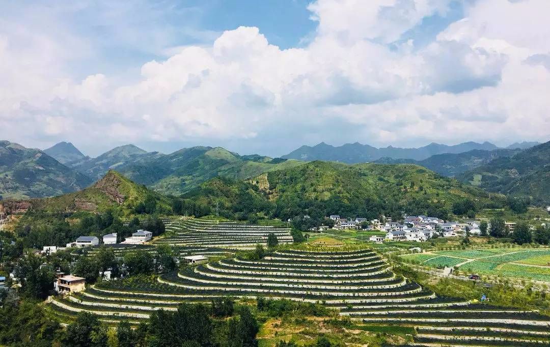 南京古都外交新动态,展现开放新姿态