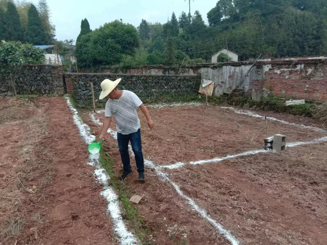 泗洲最新动态，聚焦地方发展，传递最新资讯头条