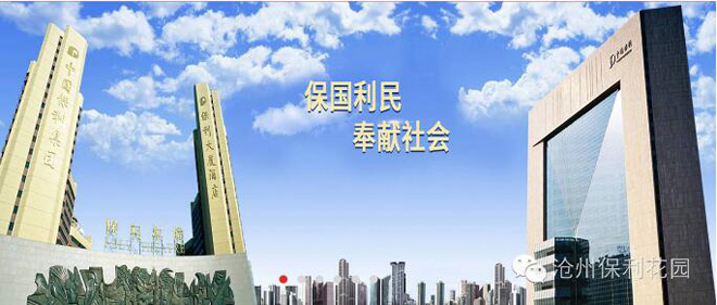 揭秘保利地产最新动态与社区发展，保利花园新闻热点速递