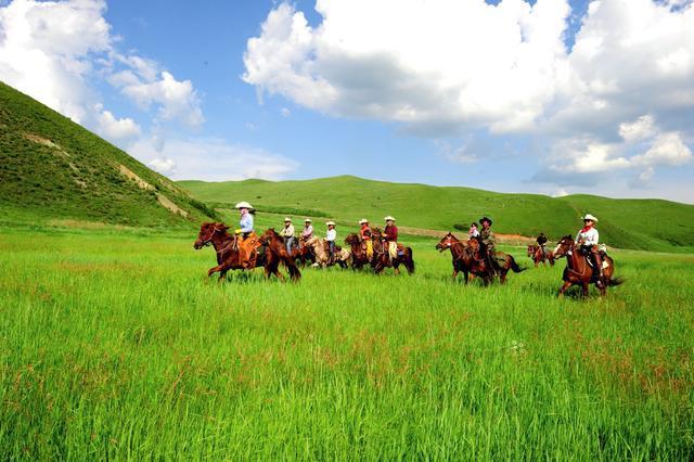 草原之旅，深度攻略，畅游天下草原
