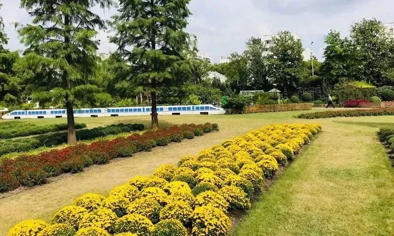 南充金秋游玩指南，探索金秋美景，尽享独特体验！